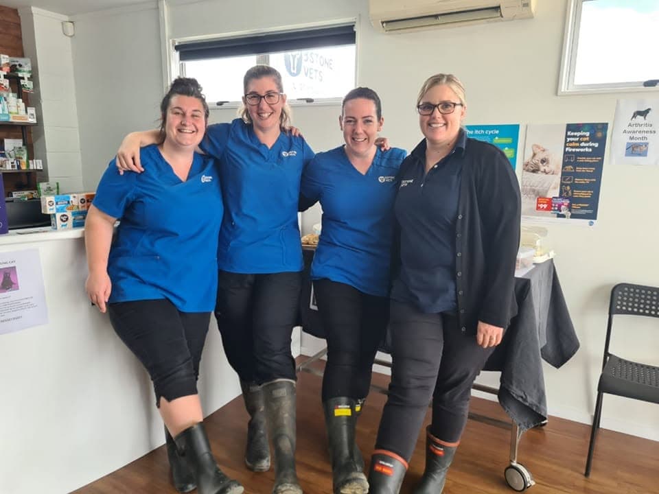 The 3 Stone Vets team