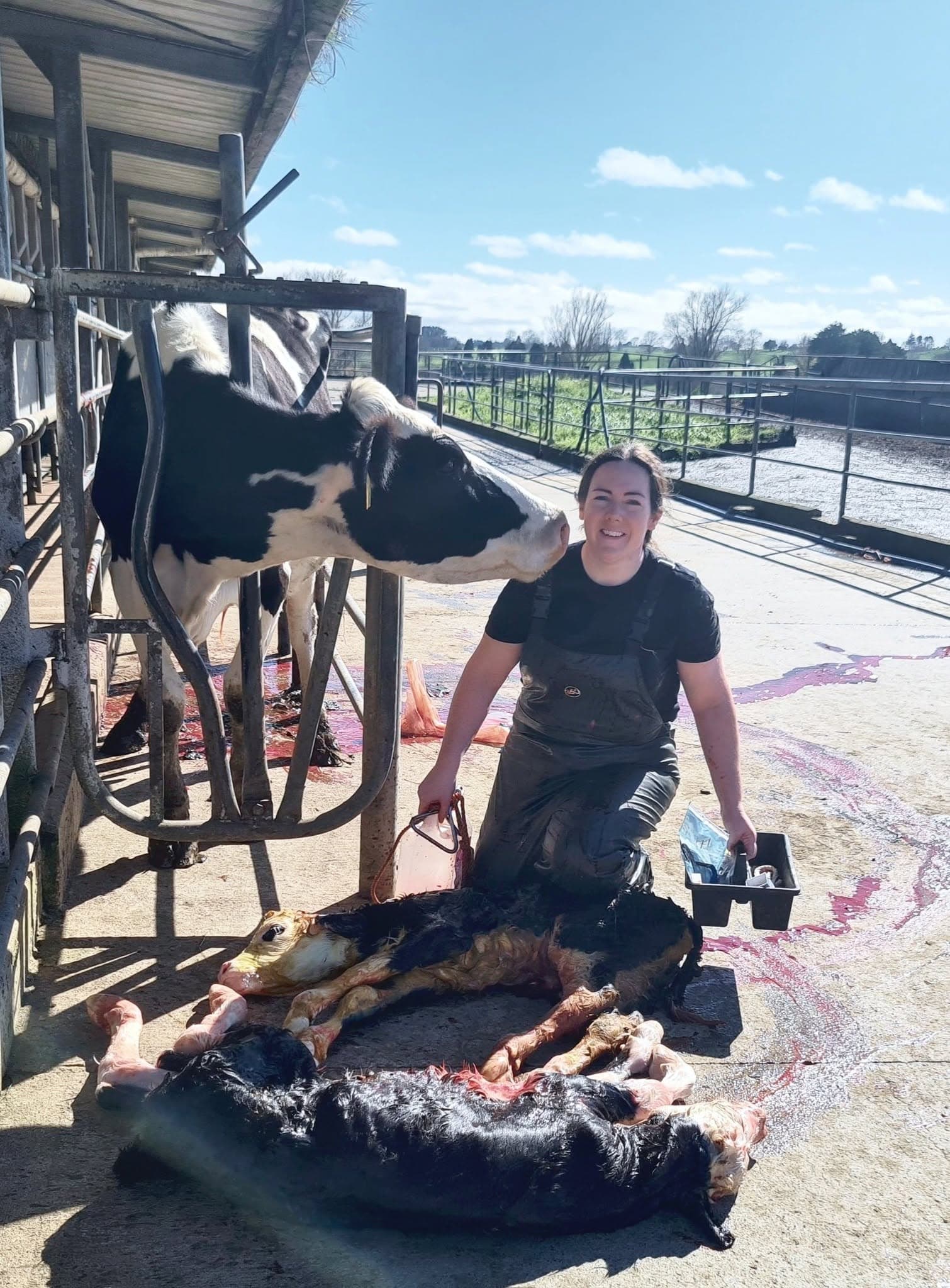 On-farm Calving