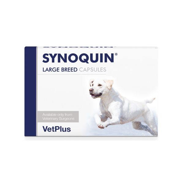 Synoquin EFA Dog Capsules - Image 4