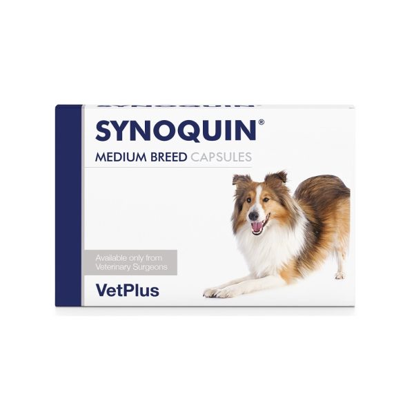 Synoquin EFA Dog Capsules