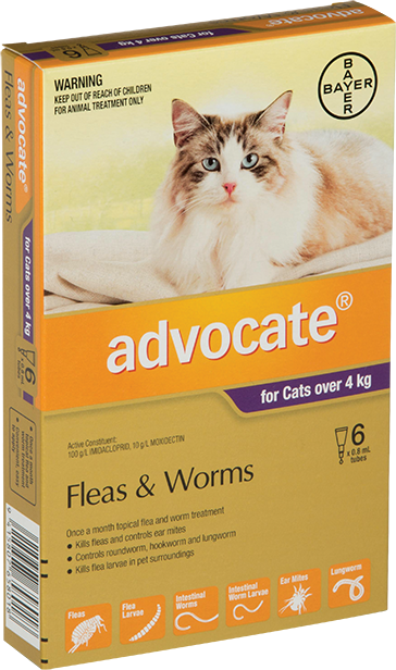 Combining flea treatments for cats hot sale