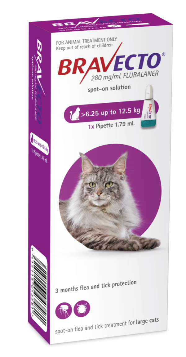 Bravecto Cat Large 6.5kg- 12.5kg