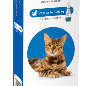 Bravecto Cat Medium 2.8kg - 6.25kg