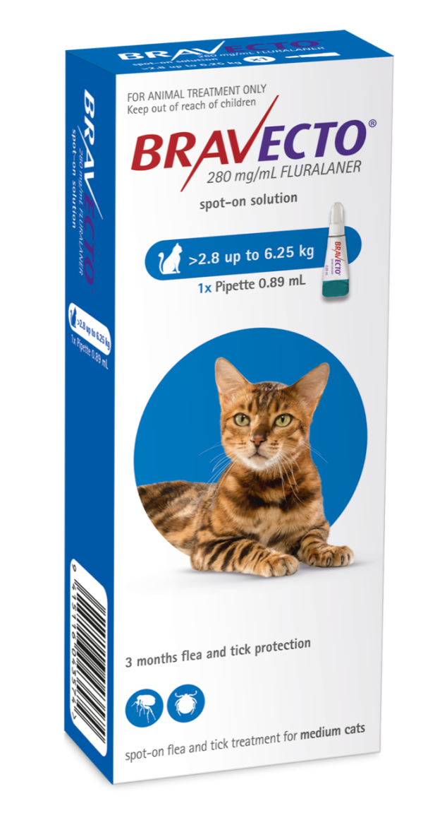 Bravecto Cat Medium 2.8kg - 6.25kg