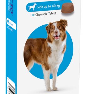Bravecto Dog Chewable Tablet 20kg-40kg