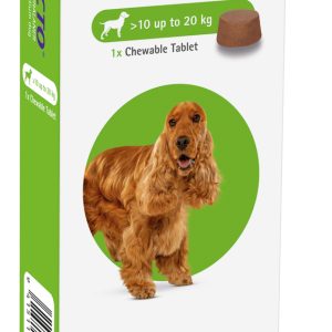 Bravecto Dog Chewable Tablet 10kg-20kg
