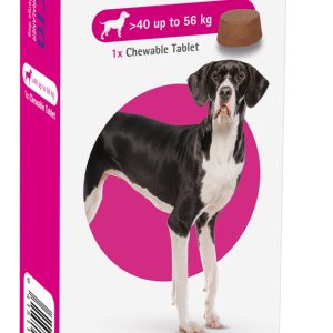 Bravecto Dog Chewable Tablet 40kg-56kg