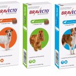 Bravecto Dog Chewable Tablet 20kg-40kg - Image 2