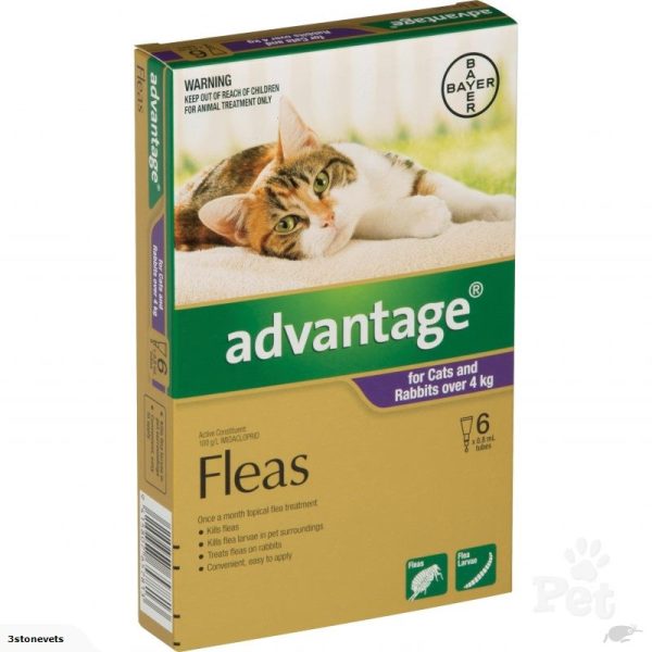 advantage 2 large cat 6 pack