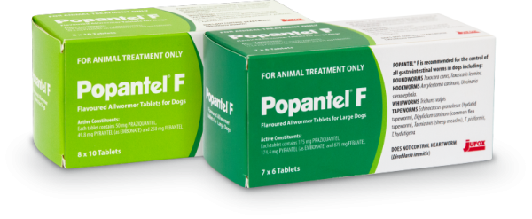 Popantel F (Large Dog >20kg)