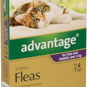 Advantage Large Cat over 4kg (4 Pack)