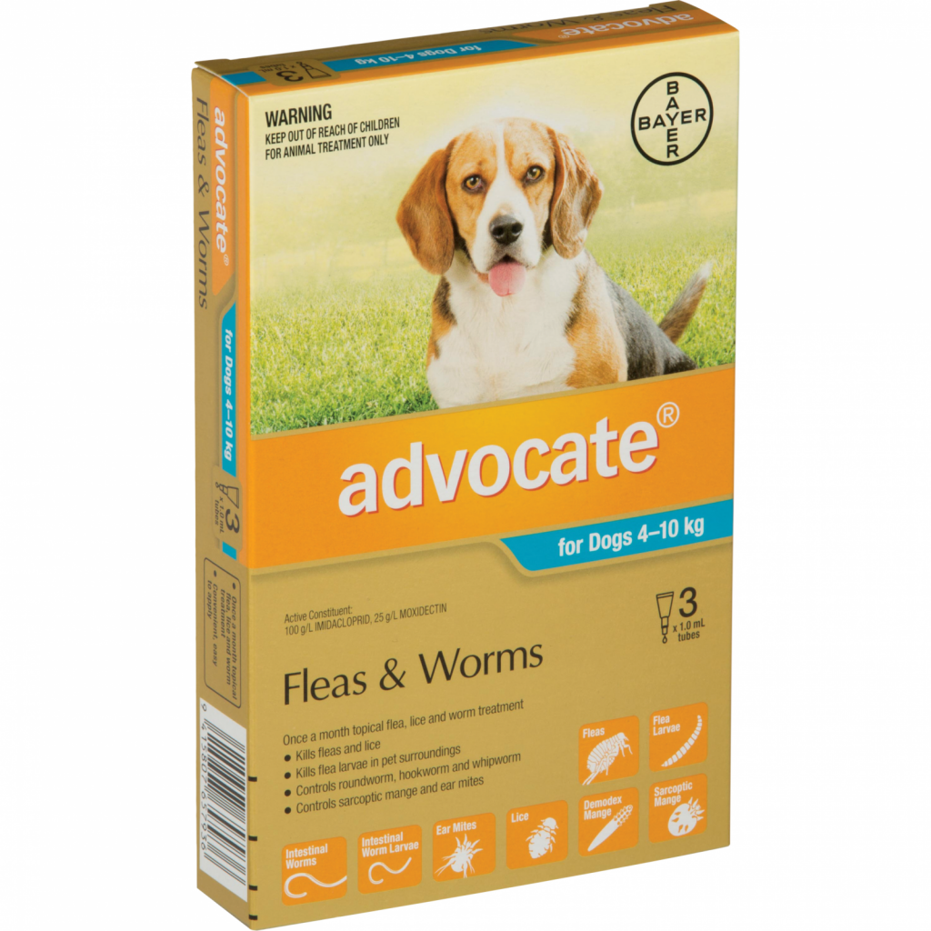 advocate