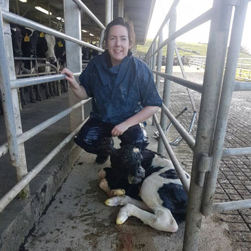 farm-animals-veterinary-clinic-te-awamutu-1